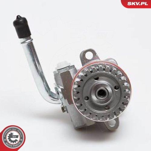 ESEN SKV Hydraulikpumpe, Lenkung 10SKV136