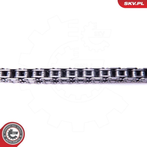 ESEN SKV Steuerkettensatz 21SKV124