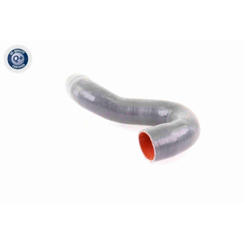 VAICO Ladeluftschlauch Q+, Erstausrüsterqualität V10-3784