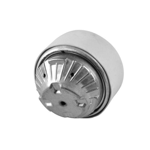 TEDGUM Lagerung, Motor TED73805