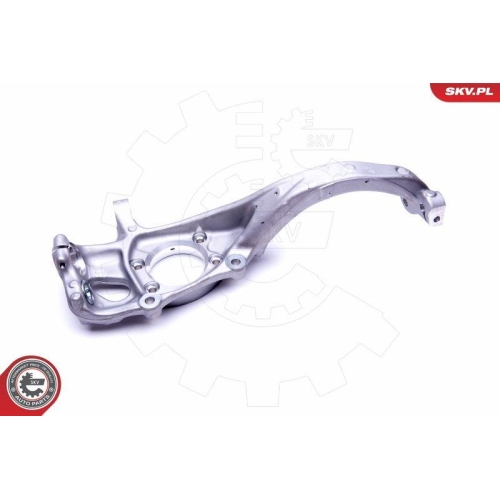 ESEN SKV Achsschenkel, Radaufhängung 47SKV272