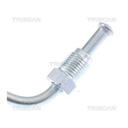 TRISCAN Bremsschlauch 8150 29287