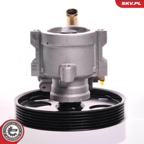 ESEN SKV Hydraulikpumpe, Lenkung 10SKV155