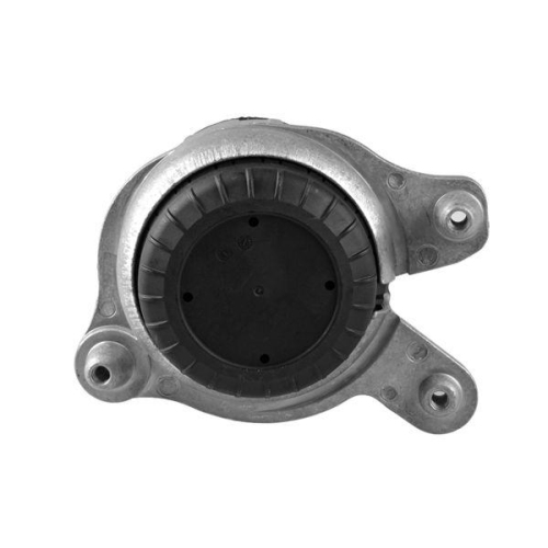 TEDGUM Lagerung, Motor TED99530