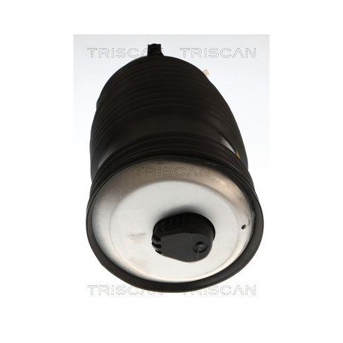 TRISCAN Luftfeder, Fahrwerk 8720 23209