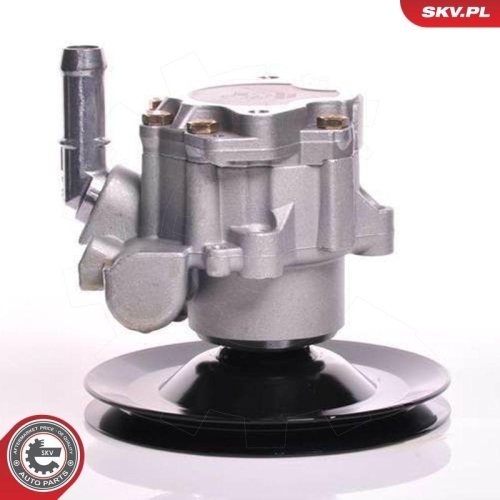 ESEN SKV Hydraulikpumpe, Lenkung 10SKV169