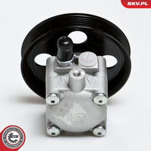 ESEN SKV Hydraulikpumpe, Lenkung 10SKV176