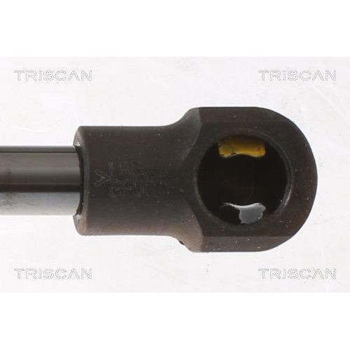 TRISCAN Gasfeder, Koffer-/Laderaum 8710 24293