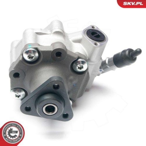 ESEN SKV Hydraulikpumpe, Lenkung 10SKV187