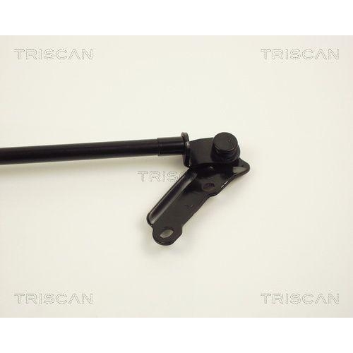 TRISCAN Gasfeder, Koffer-/Laderaum 8710 13226