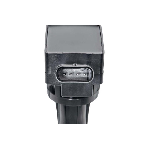 BorgWarner (BERU) Z&uuml;ndspule ZSE300