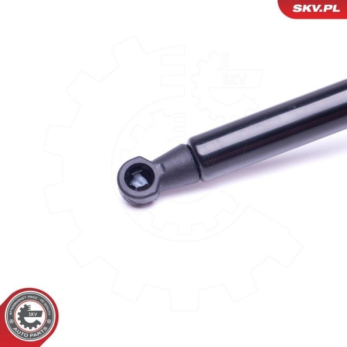 ESEN SKV Gasfeder, Koffer-/Laderaum 52SKV433