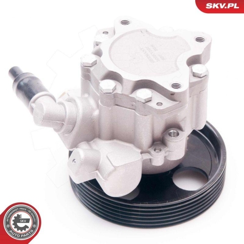 ESEN SKV Hydraulikpumpe, Lenkung 10SKV197