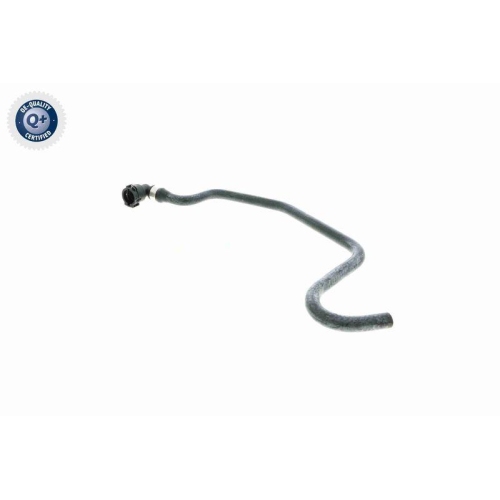 VAICO K&uuml;hlerschlauch Q+, Erstausr&uuml;sterqualit&auml;t V48-0231