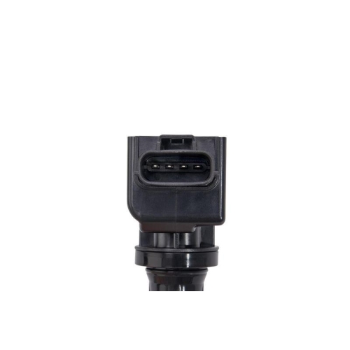 BorgWarner (BERU) Z&uuml;ndspule ZSE239