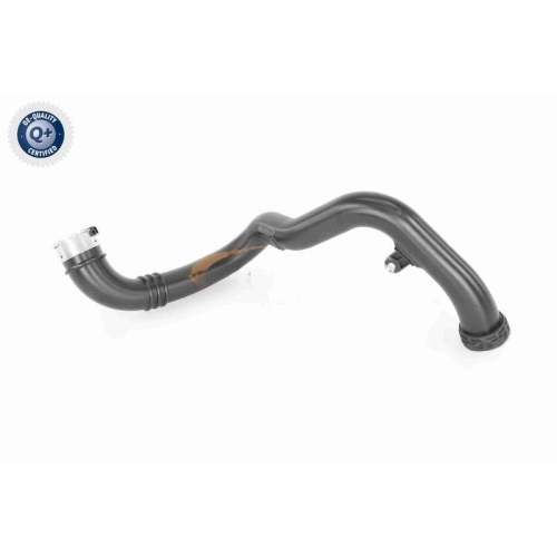 VAICO Ladeluftschlauch Q+, Erstausrüsterqualität V40-2262