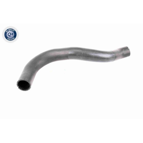 VAICO Ladeluftschlauch Q+, Erstausr&uuml;sterqualit&auml;t V42-0610