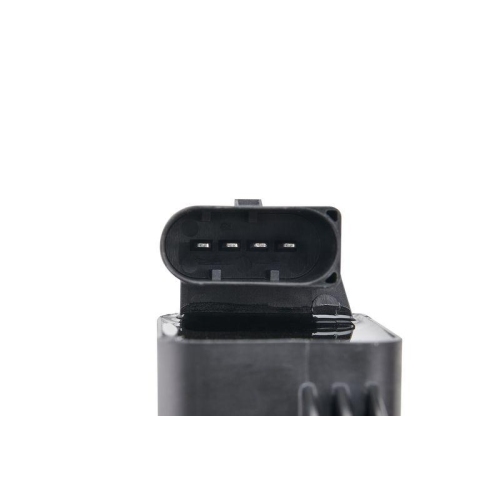 BorgWarner (BERU) Z&uuml;ndspule ZSE241