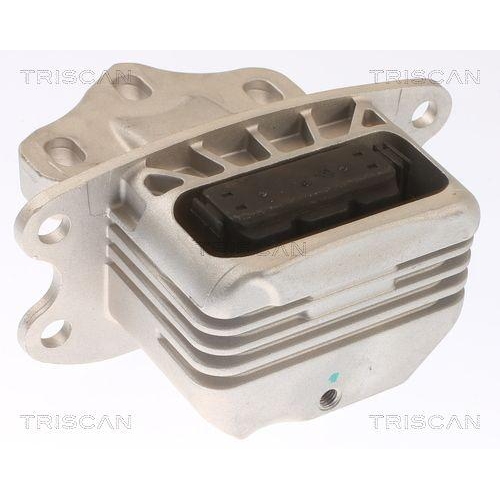 TRISCAN Lagerung, Motor 8505 11120