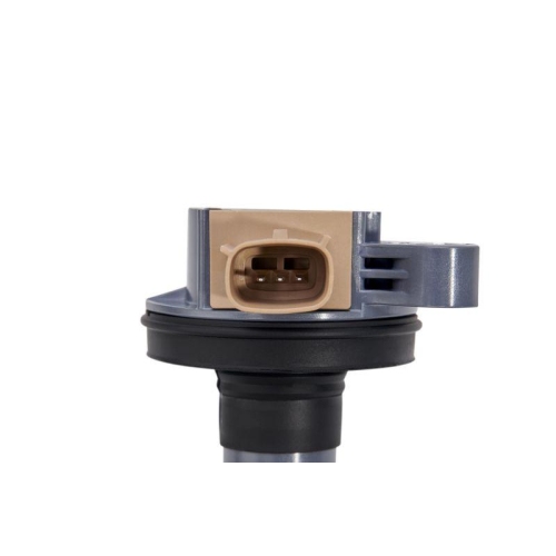 BorgWarner (BERU) Z&uuml;ndspule ZSE247