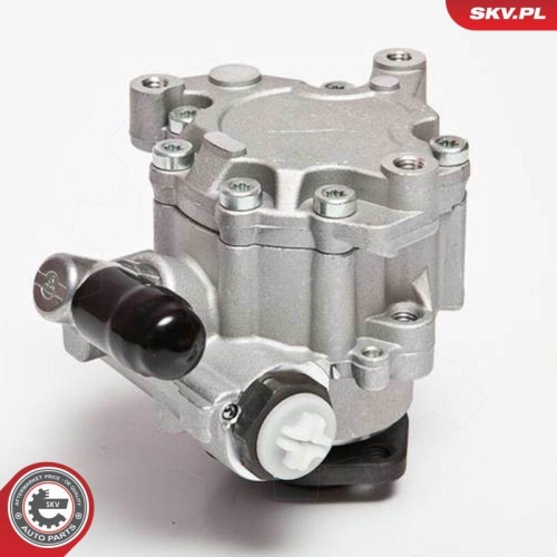 ESEN SKV Hydraulikpumpe, Lenkung 10SKV043