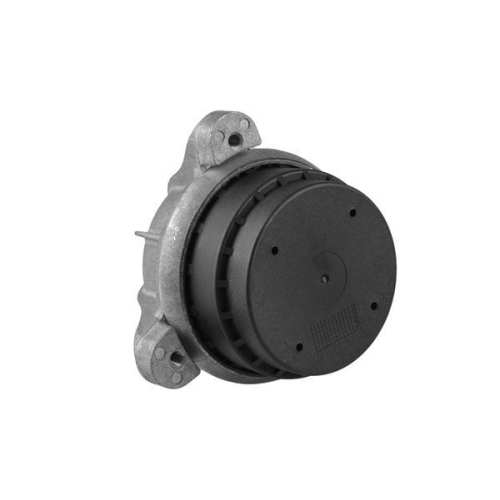 TEDGUM Lagerung, Motor TED19507