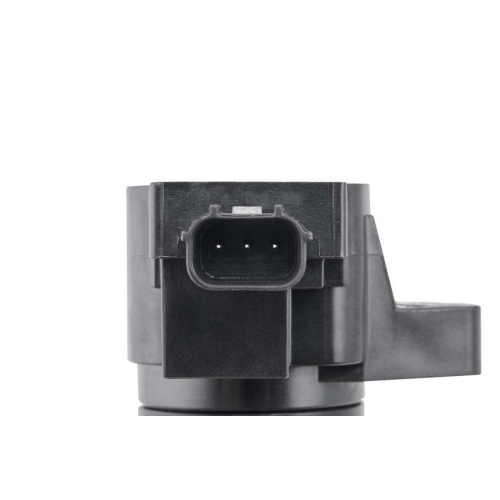 BorgWarner (BERU) Z&uuml;ndspule ZSE295