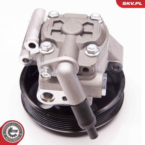 ESEN SKV Hydraulikpumpe, Lenkung 10SKV238