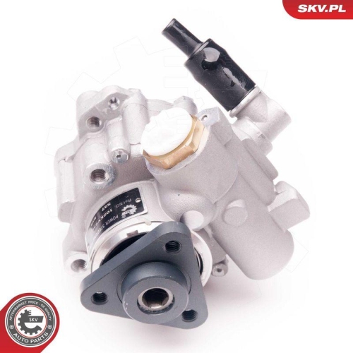 ESEN SKV Hydraulikpumpe, Lenkung 10SKV239