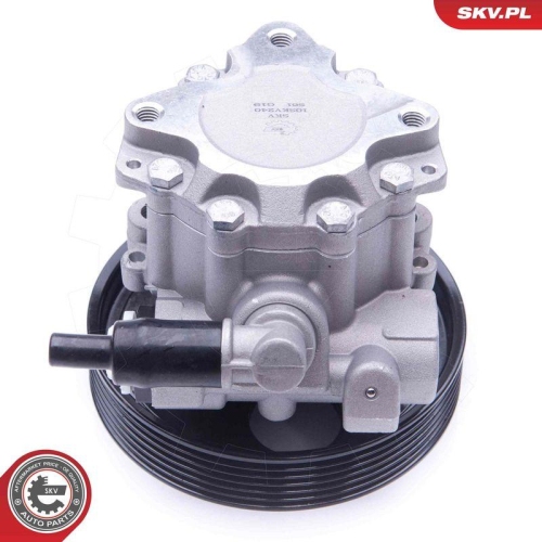 ESEN SKV Hydraulikpumpe, Lenkung 10SKV240