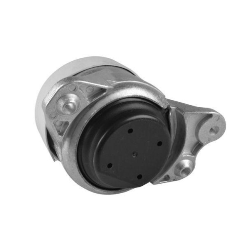 TEDGUM Lagerung, Motor TED42670