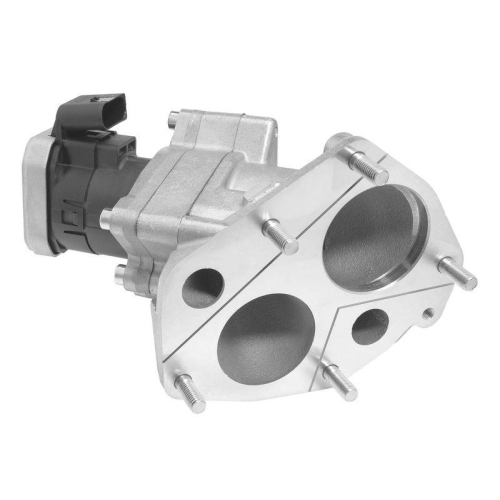 BorgWarner AGR-Ventil 710072D