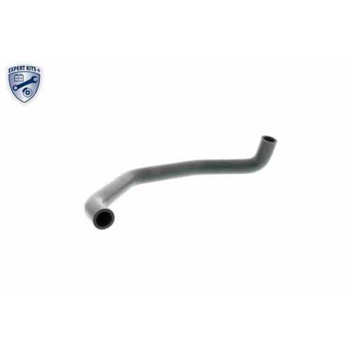 VAICO Reparatursatz, Kurbelgehäuseentlüftung EXPERT KITS + V20-0006