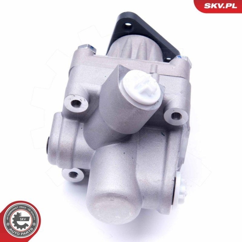 ESEN SKV Hydraulikpumpe, Lenkung 10SKV245