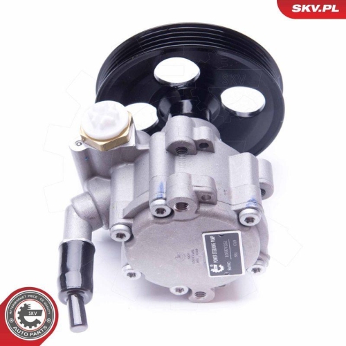 ESEN SKV Hydraulikpumpe, Lenkung 10SKV251