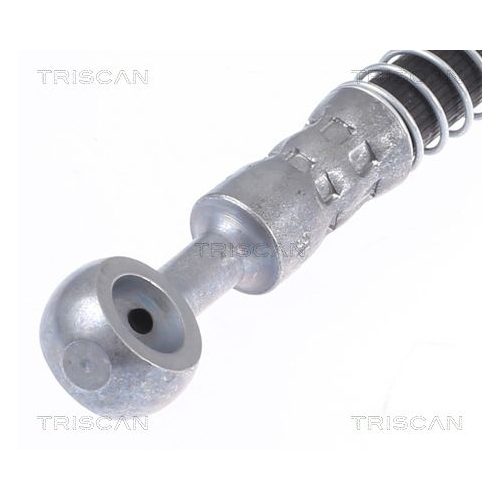 TRISCAN Bremsschlauch 8150 43165