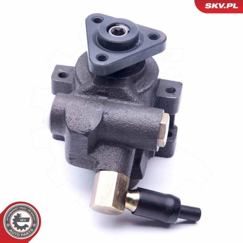 ESEN SKV Hydraulikpumpe, Lenkung 10SKV259