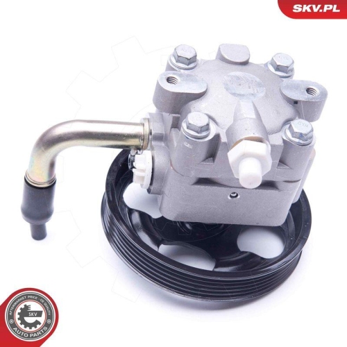 ESEN SKV Hydraulikpumpe, Lenkung 10SKV268