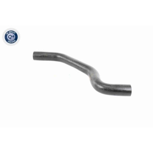 VAICO K&uuml;hlerschlauch Q+, Erstausr&uuml;sterqualit&auml;t V46-0901