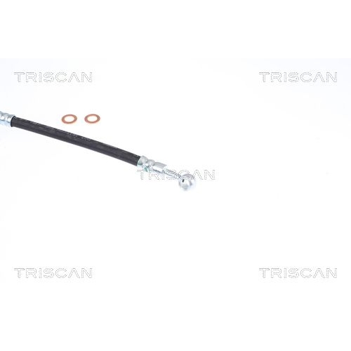 TRISCAN Bremsschlauch 8150 43172