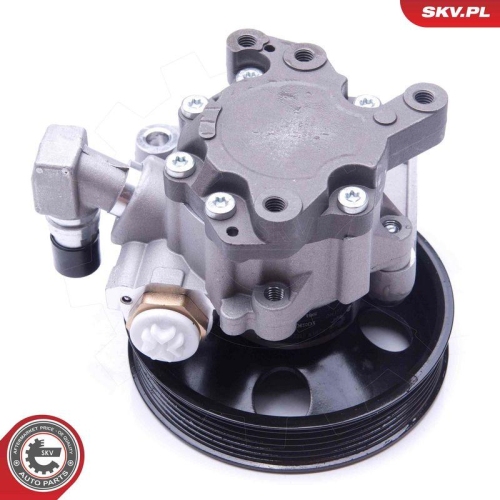 ESEN SKV Hydraulikpumpe, Lenkung 10SKV270
