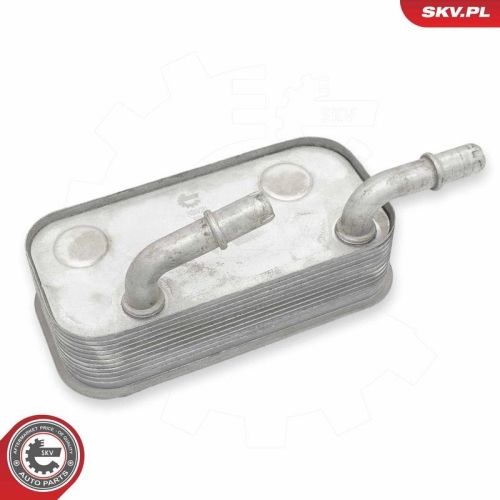 ESEN SKV &Ouml;lk&uuml;hler, Motor&ouml;l 31SKV281