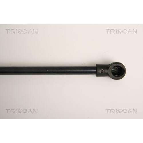 TRISCAN Gasfeder, Koffer-/Laderaum 8710 11231