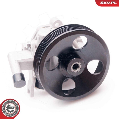 ESEN SKV Hydraulikpumpe, Lenkung 10SKV214