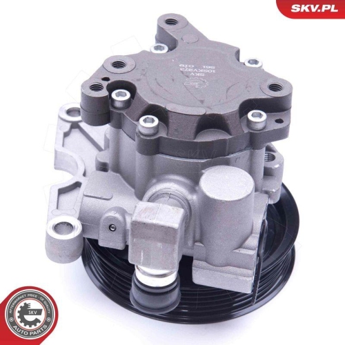 ESEN SKV Hydraulikpumpe, Lenkung 10SKV273