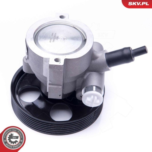 ESEN SKV Hydraulikpumpe, Lenkung 10SKV281