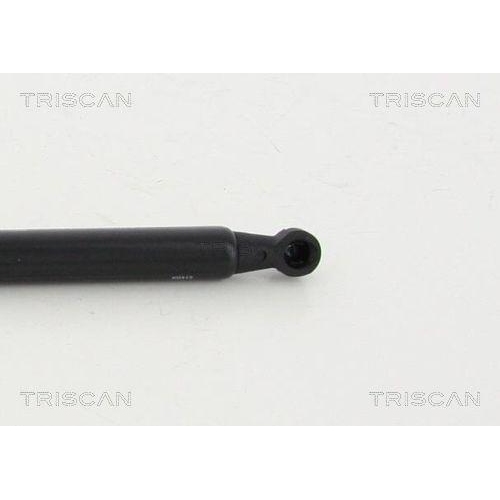 TRISCAN Gasfeder, Koffer-/Laderaum 8710 13281