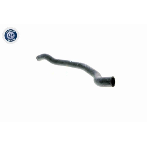 VAICO Kühlerschlauch Q+, Erstausrüsterqualität V20-1648