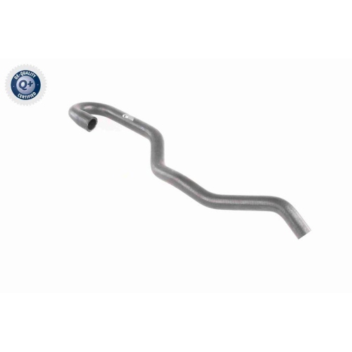 VAICO Kühlerschlauch Q+, Erstausrüsterqualität V20-1654