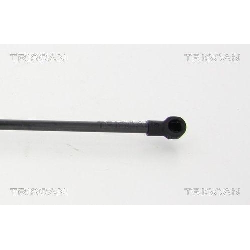 TRISCAN Gasfeder, Koffer-/Laderaum 8710 13285